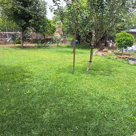 Garden House Ramalde Порту