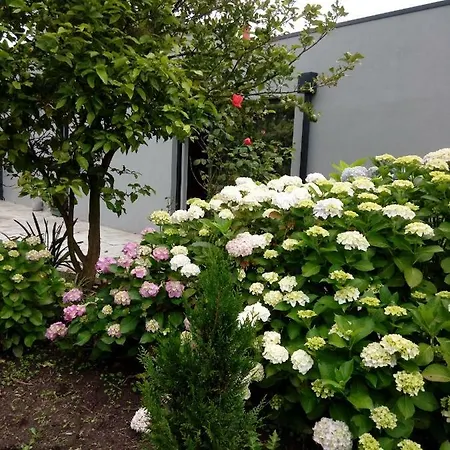 Garden House Ramalde * Порту