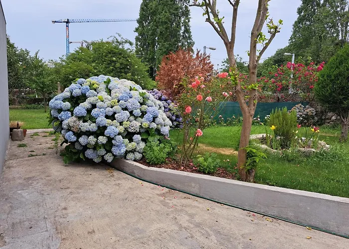 Garden House Ramalde 波尔图