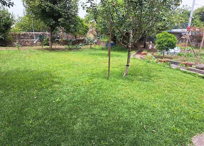 Garden House Ramalde 波尔图