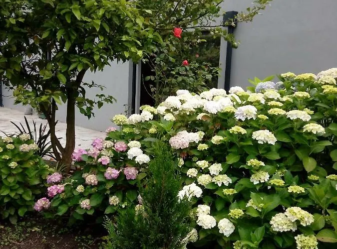 Garden House Ramalde * 波尔图