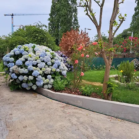 Garden House Ramalde Porto